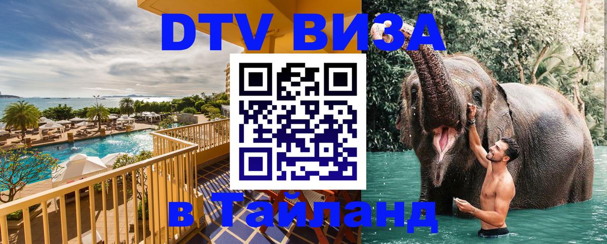 Оформление DTV визы под ключ: стоимость и тарифы, только загранпаспорт - 
